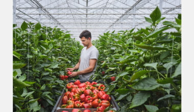 "The warm weather has driven weekly turnover to record levels"