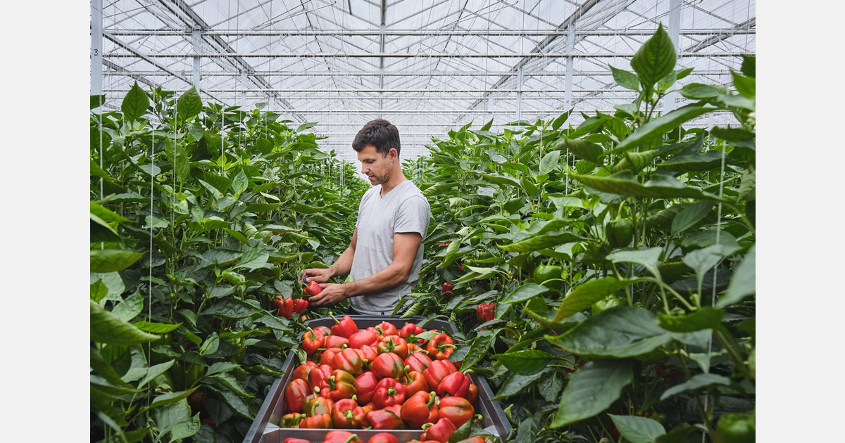 "The warm weather has driven weekly turnover to record levels"