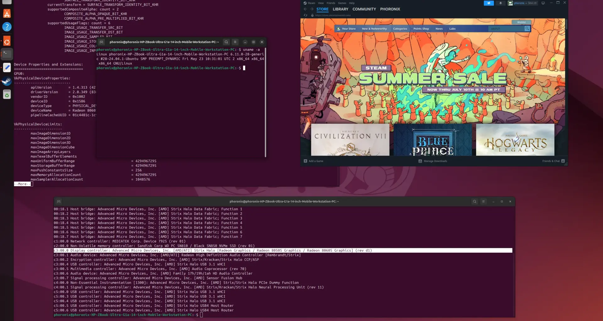Steam Play on Linux