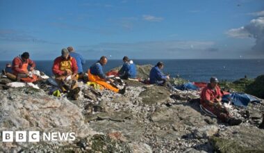 Permission sought for traditional guga hunt to take place this year - BBC