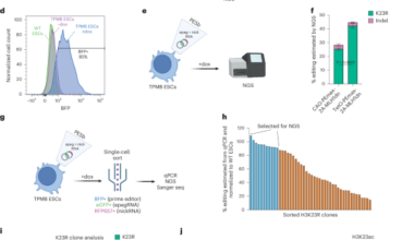 Identifying critical lysines in mammalian histone H3 with high-throughput CRISPR prime editing