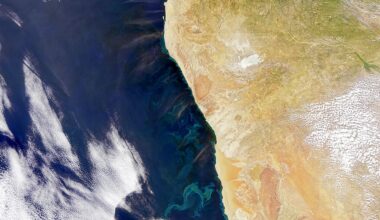 Keeping PACE with Ocean Change