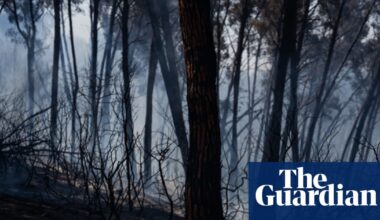 Wildfires in southern Spain kill at least 11 amid soaring temperatures | Spain