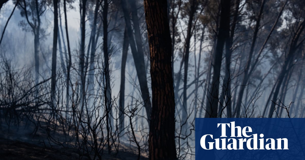 Wildfires in southern Spain kill at least 11 amid soaring temperatures | Spain