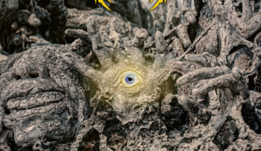 Review: Apogean - Waste Where Life Begins