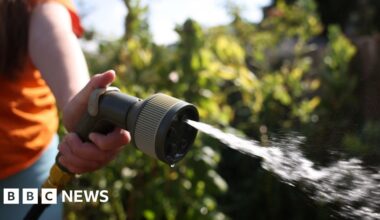 Anglian Water hosepipe ban for UK's driest region - BBC