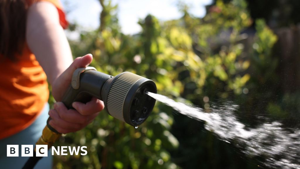 Anglian Water hosepipe ban for UK's driest region - BBC
