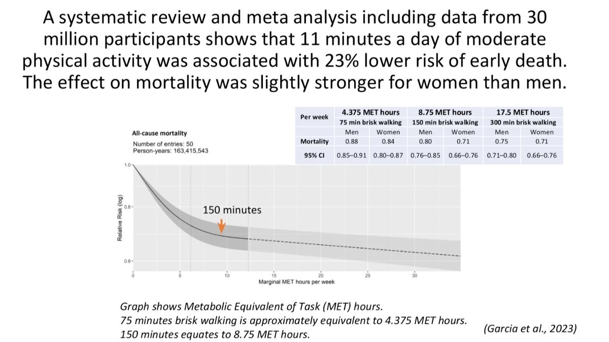 research slide