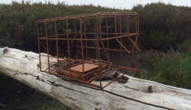 New report on use of spring traps in England – Raptor Persecution UK
