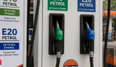 Rs 1 lakh crore risk: Oil Ministry plays cost card to defend E20
