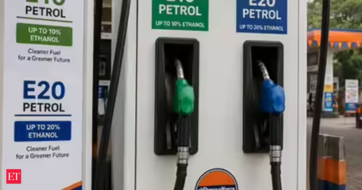 Rs 1 lakh crore risk: Oil Ministry plays cost card to defend E20