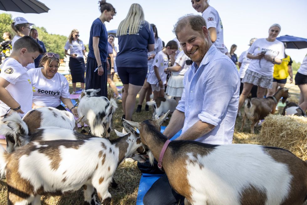 Prince Harry