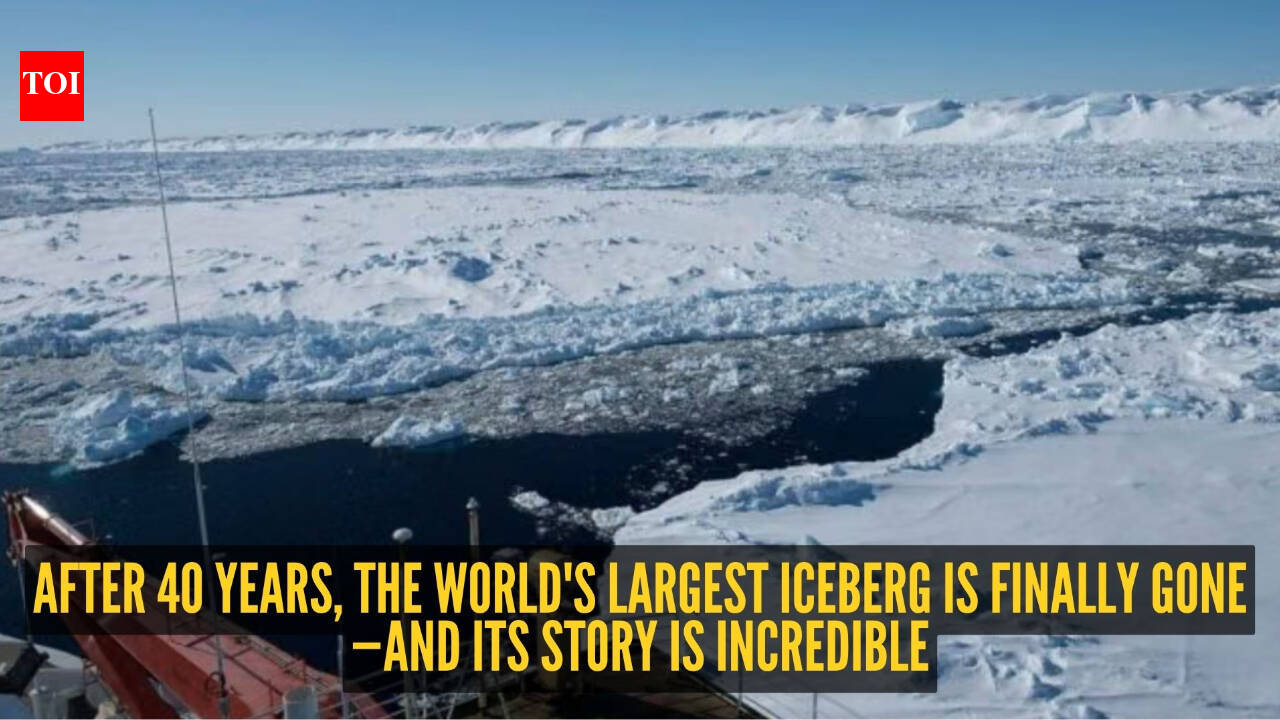 A23A Iceberg: Bigger than London, larger than Goa: After 40 years, the world's largest iceberg 'A23a' has vanished