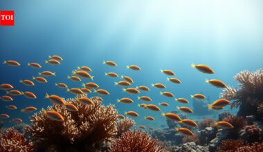 Ocean warming has been shrinking marine animals for 450 million years, massive study reveals |
