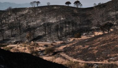 British woman becomes 13th person to die in Spanish wildfires