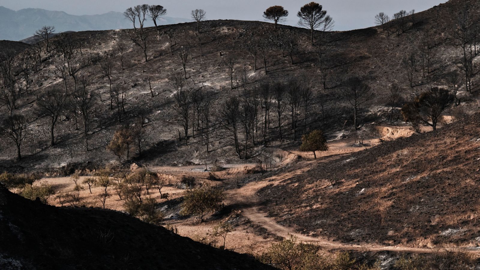 British woman becomes 13th person to die in Spanish wildfires