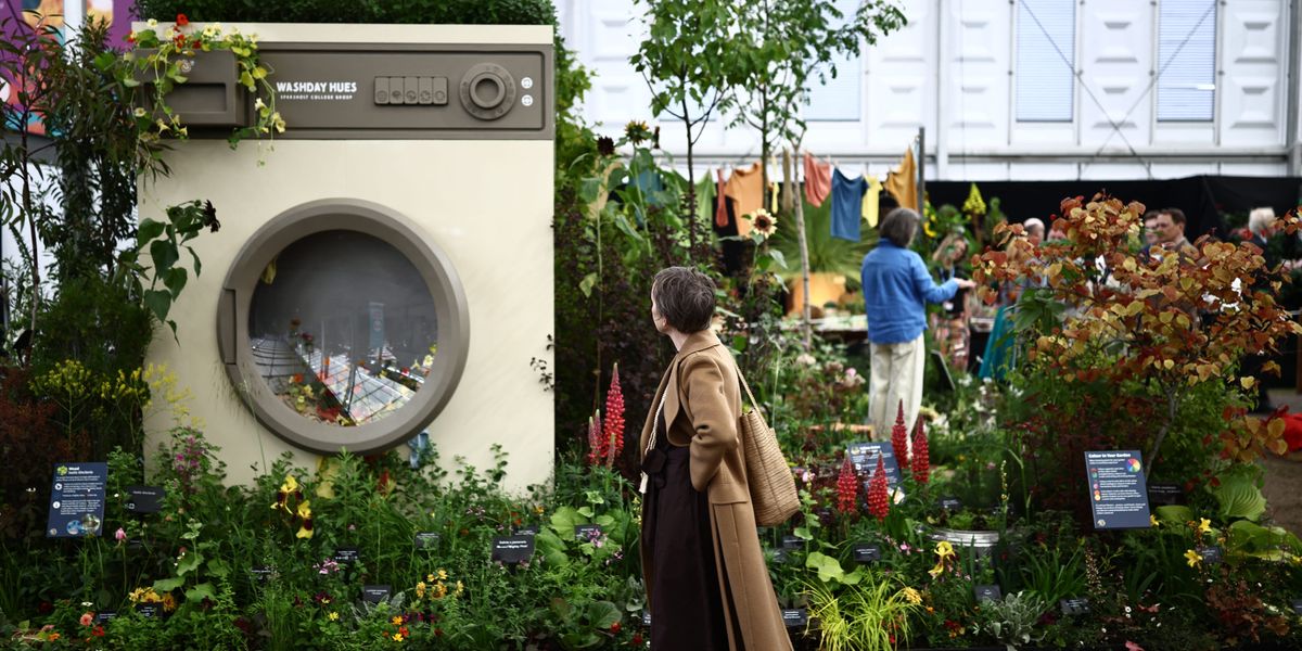 Plant growers pull out of next year's Chelsea Flower Show over new 'woke' environmental rules