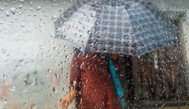 Why your body is more vulnerable during the rainy season; Ayurvedacharya shares the diet, daily habits, and tips that can help strengthen immunity naturally |