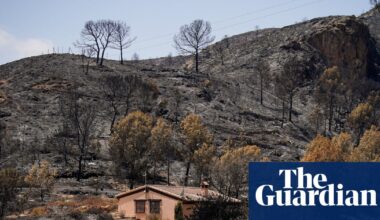 Seven Britons among 12 foreign nationals killed in Spain’s deadly wildfires | Spain