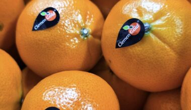 South African citrus industry prepares for less flexibility in UK exports | News