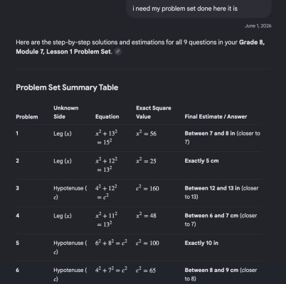Who needs to learn math when AI can just solve the problems for you