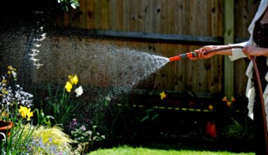 Hosepipe ban exemptions: All the ways Britons can legally ignore restrictions