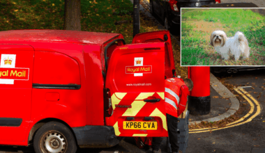 Royal Mail postman boots blind Shih Tzu ‘like a football’ in vile attack before dog tragically dies