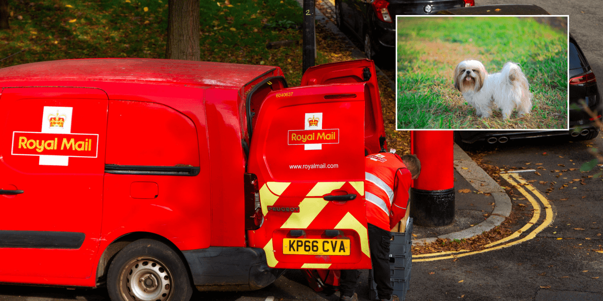Royal Mail postman boots blind Shih Tzu ‘like a football’ in vile attack before dog tragically dies