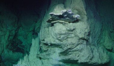 Scientists drilled 1.3 km beneath the Atlantic and found superheated water that may fuel one of Earth’s strangest sunless ecosystems