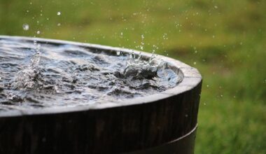 Australia Rainwater Harvesting: No town water or rain for weeks: Australian off-grid homesteader shows how she stores every drop to survive, and netizens ask if it’s legal! |