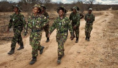 Meet the Black Mambas: In one of South Africa's regions hardest hit by poaching, 36 unarmed women patrol the frontline and protect endangered rhinos | World News
