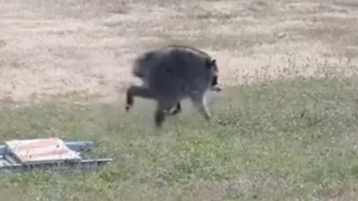 Video Player Placeholder