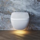 TOTO Neorest WX TOTO toilets www.gb.toto.com Image supplied by Julienne Webster