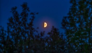 See The Moon Meet Two Of Summer’s Brightest Stars: Night Sky This Week