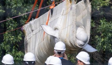 Beluga whales rescued after being trapped in closed down Canadian theme park