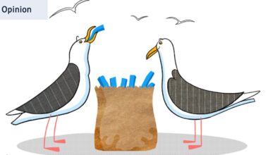 I earn $80,000 a year in dividends. Should I reinvest, or add it to my super?