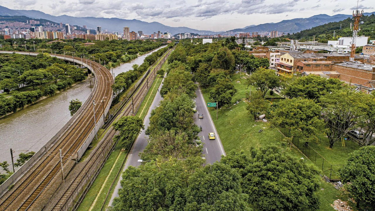 Colombia planted 880,000 trees across the streets of one city to tackle rising temperatures, and the plantation delivered localised cooling of up to 5°C in shaded areas |