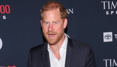 Home Office slammed over 'incoherent' VIP security freeze as Prince Harry faces huge delay