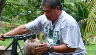 How scrap metal led to a coconut grower’s sharp idea