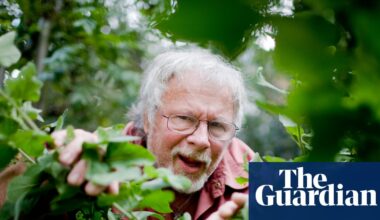Bill Oddie: the comedy legend tragically undervalued by the BBC | Bill Oddie