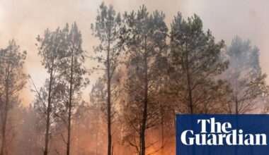 ‘Ash fell from the sky’: Tourists describe fleeing ‘apocalyptic’ wildfires in France | Wildfires