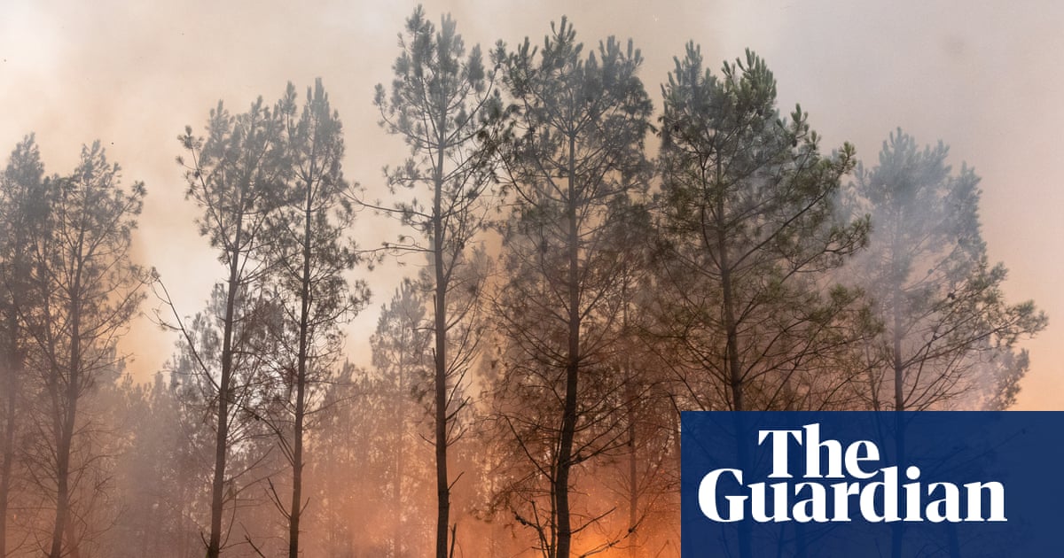 ‘Ash fell from the sky’: Tourists describe fleeing ‘apocalyptic’ wildfires in France | Wildfires