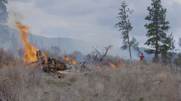 As Trump threatens wildfire smoke tariffs, Canada looks to reduce fire risk