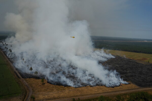 A wildfire burns near near Ares, France, July 28, 2026. (AP Photo/Baz Ratner, Pool, File)