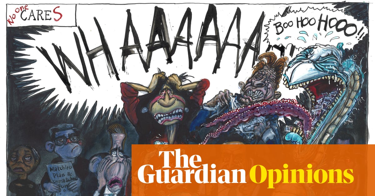 Martin Rowson on Andy Burnham’s plans for care reform – cartoon - The Guardian