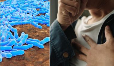 Tuberculosis could be killing Britons without warning as cases hit decade high