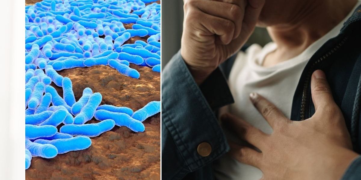 Tuberculosis could be killing Britons without warning as cases hit decade high