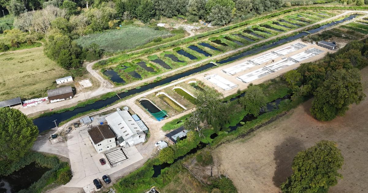 Wild Fish warn of pollution risks from new Avon salmon farm
