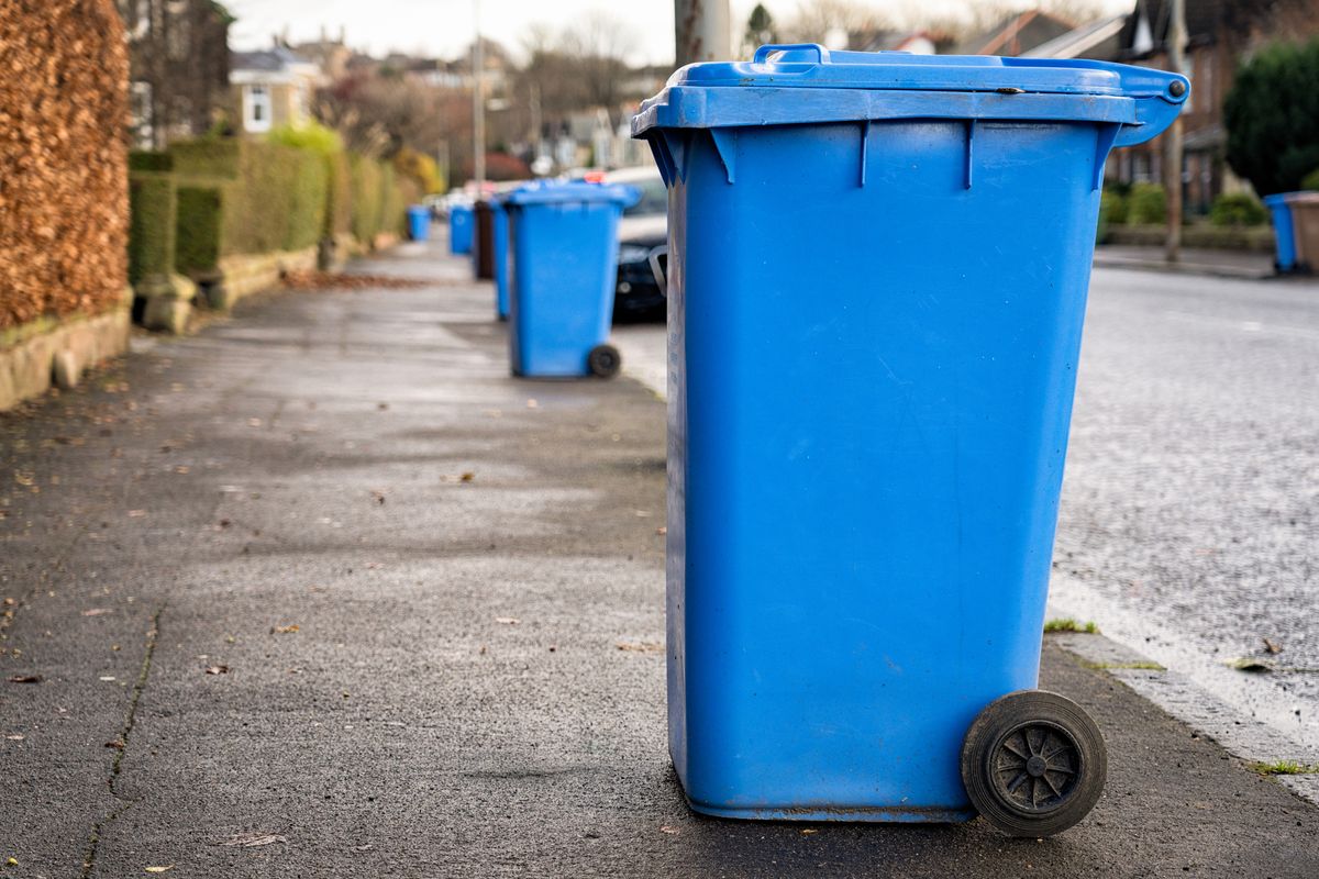 Recycling bins could be ignored if people put an item inside that 'goes rancid' and spoils everything