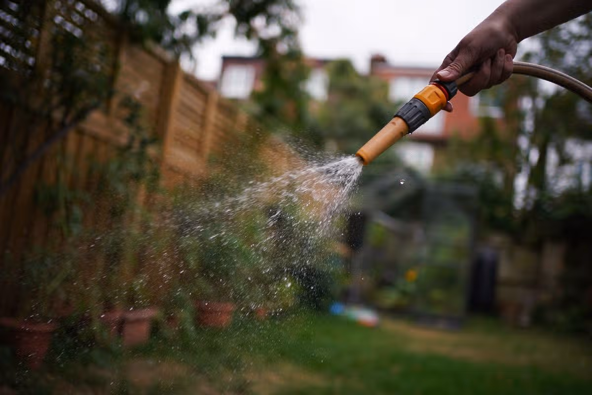 Two water companies currently have hosepipe bans in place in Surrey
